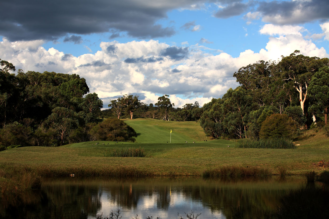 The Springs Central Coast gallery image 106