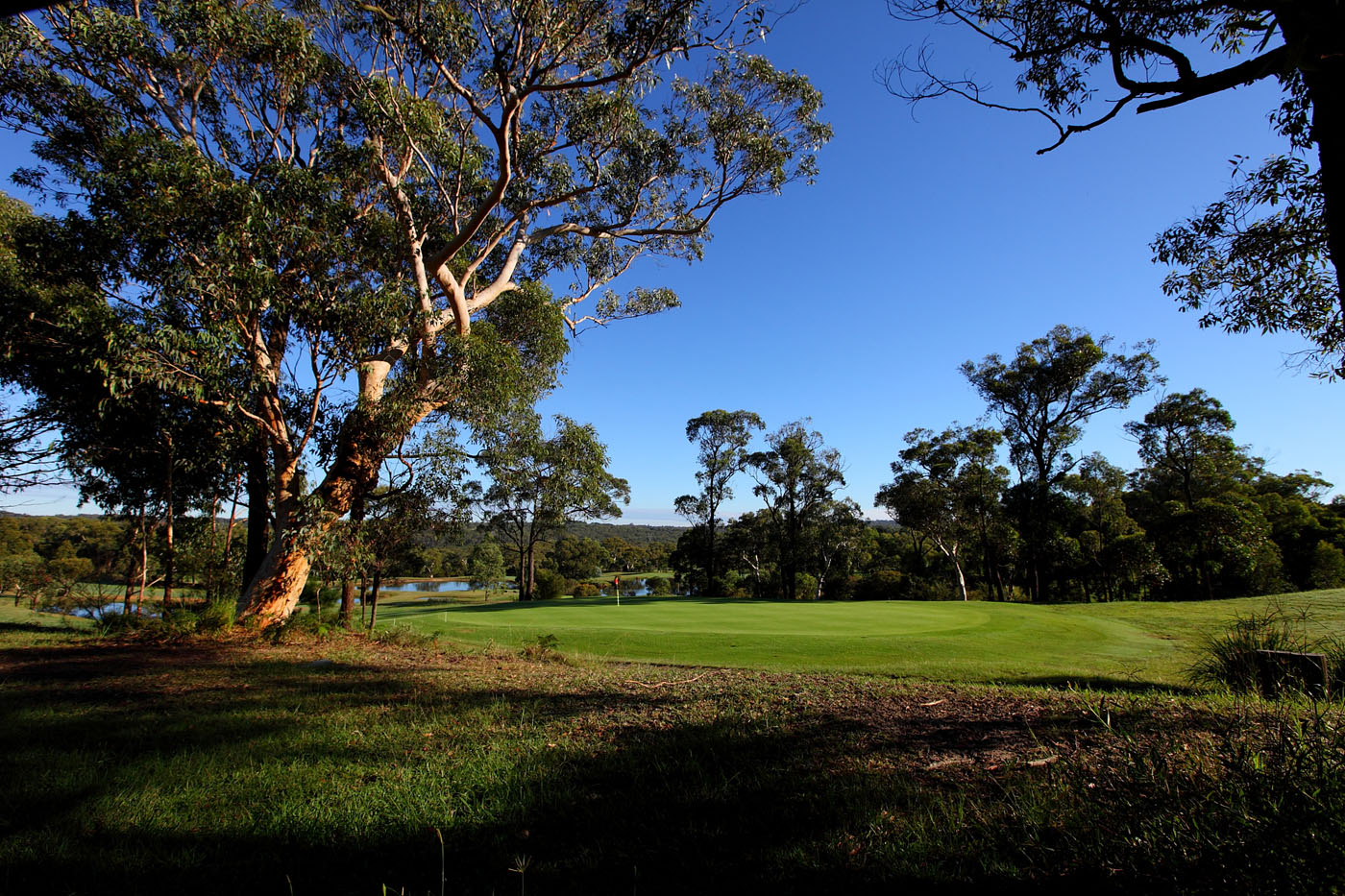 The Springs Central Coast gallery image 104