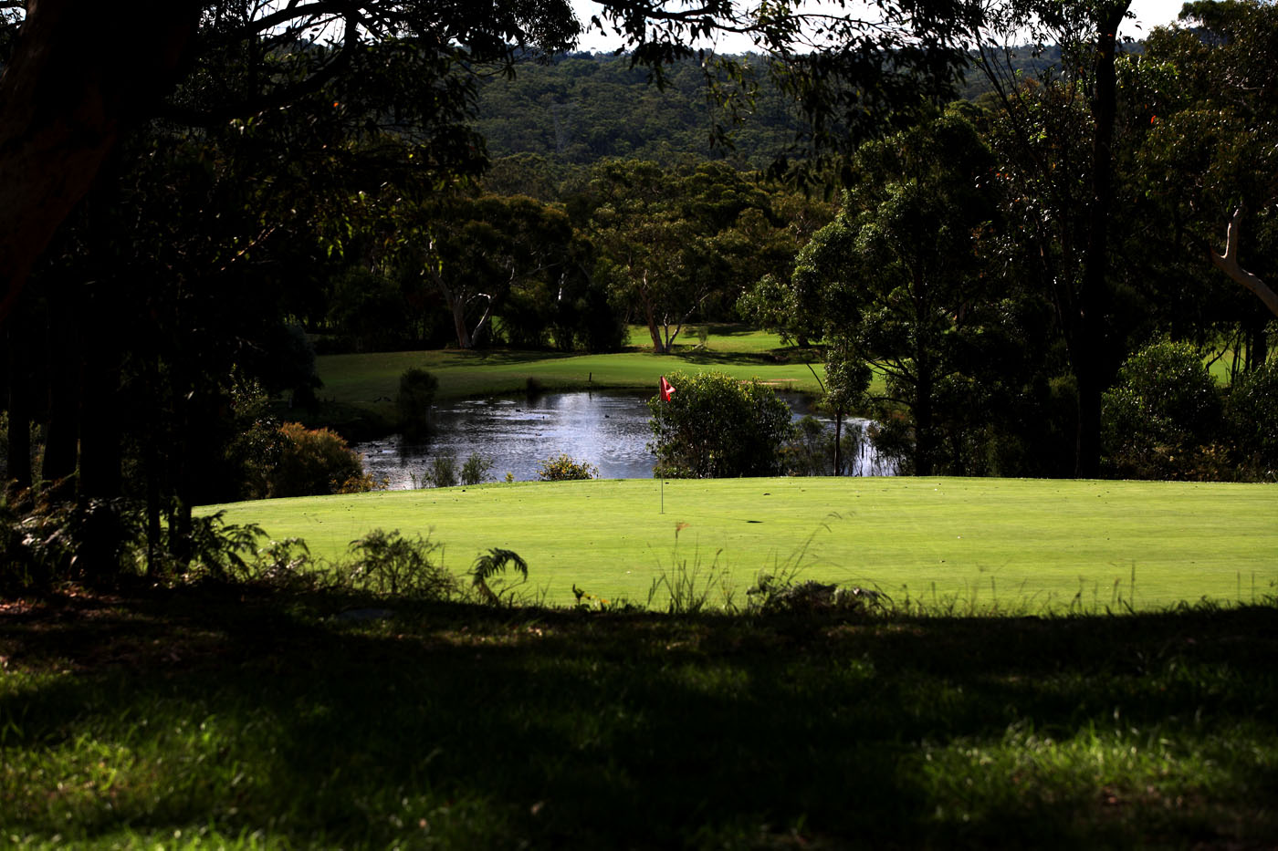 The Springs Central Coast gallery image 105