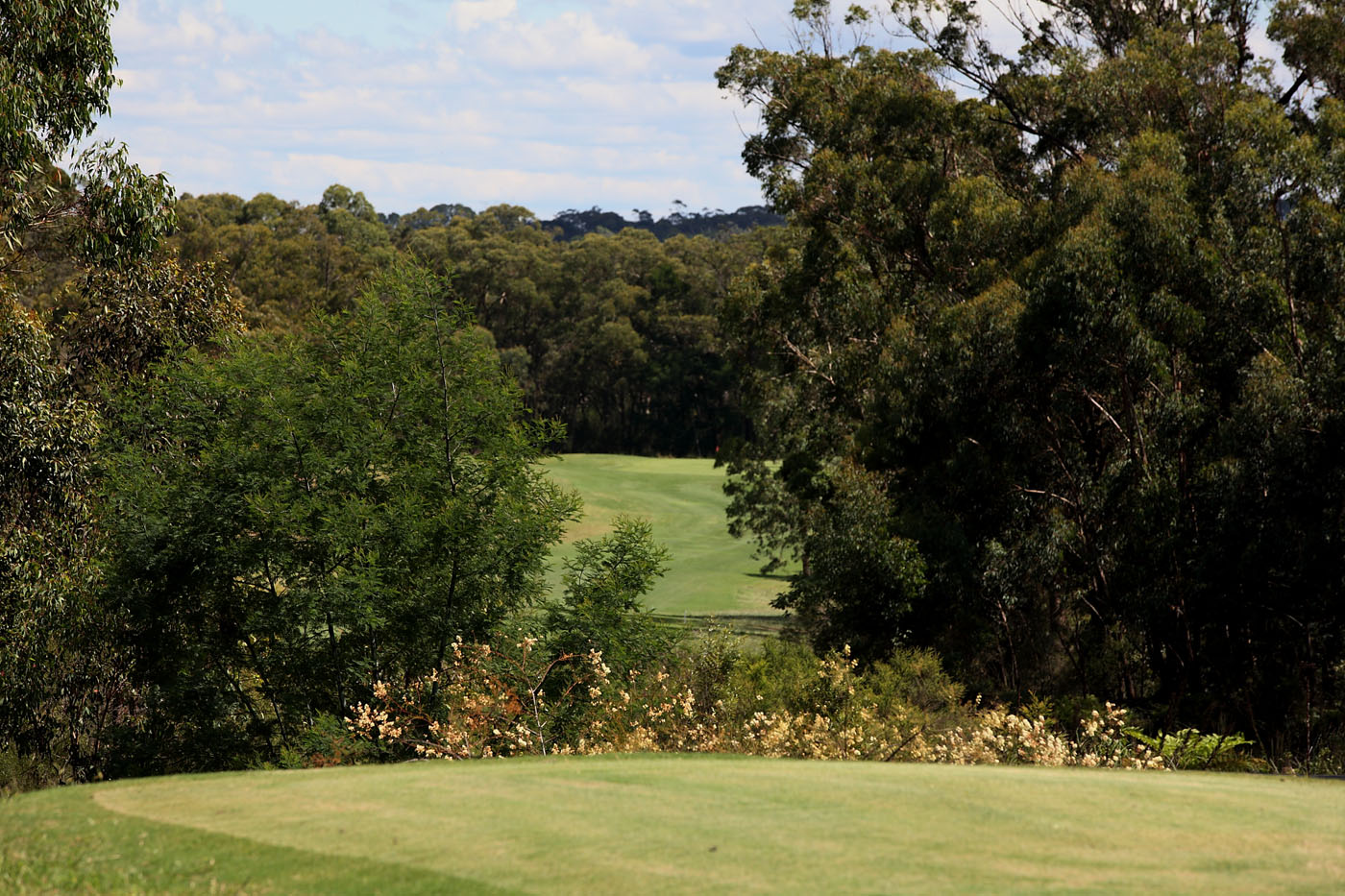 The Springs Central Coast gallery image 1