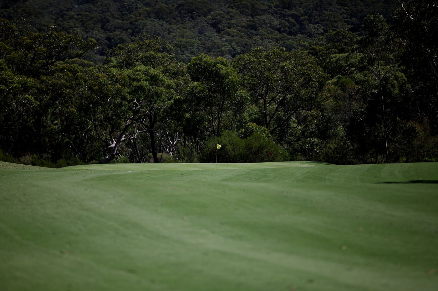 The Springs Central Coast gallery image 82